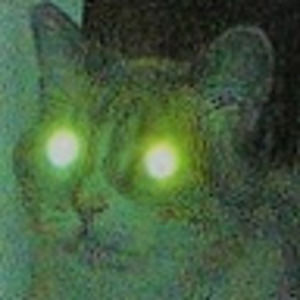 Meet your Posher, Chezna